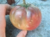 dscf4064